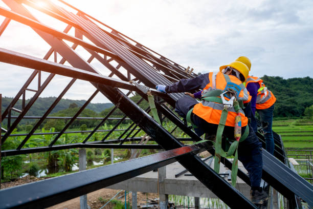 Best Roof Gutter Cleaning  in Mcalester, OK